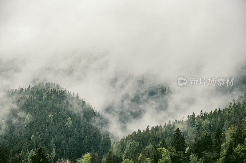 春天在Zgornje Jezersko山谷森林上空的云层